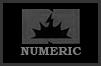 Numeric UPS